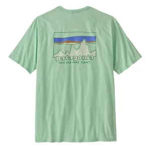 Patagonia '73 Skyline Organic T-Shirt Rinsed Green