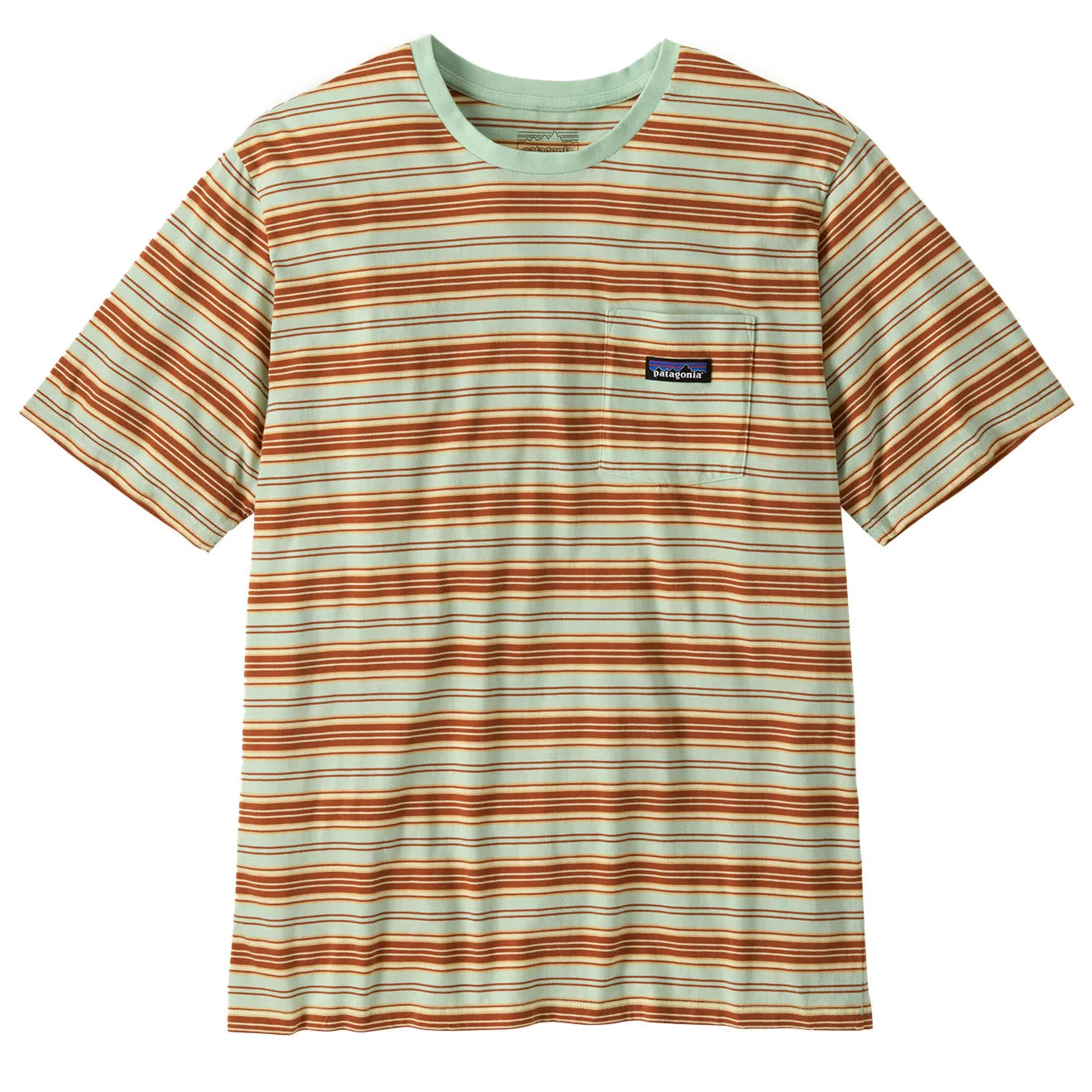 Patagonia Daily Pocket Tee Summer Camp / Rinsed Green