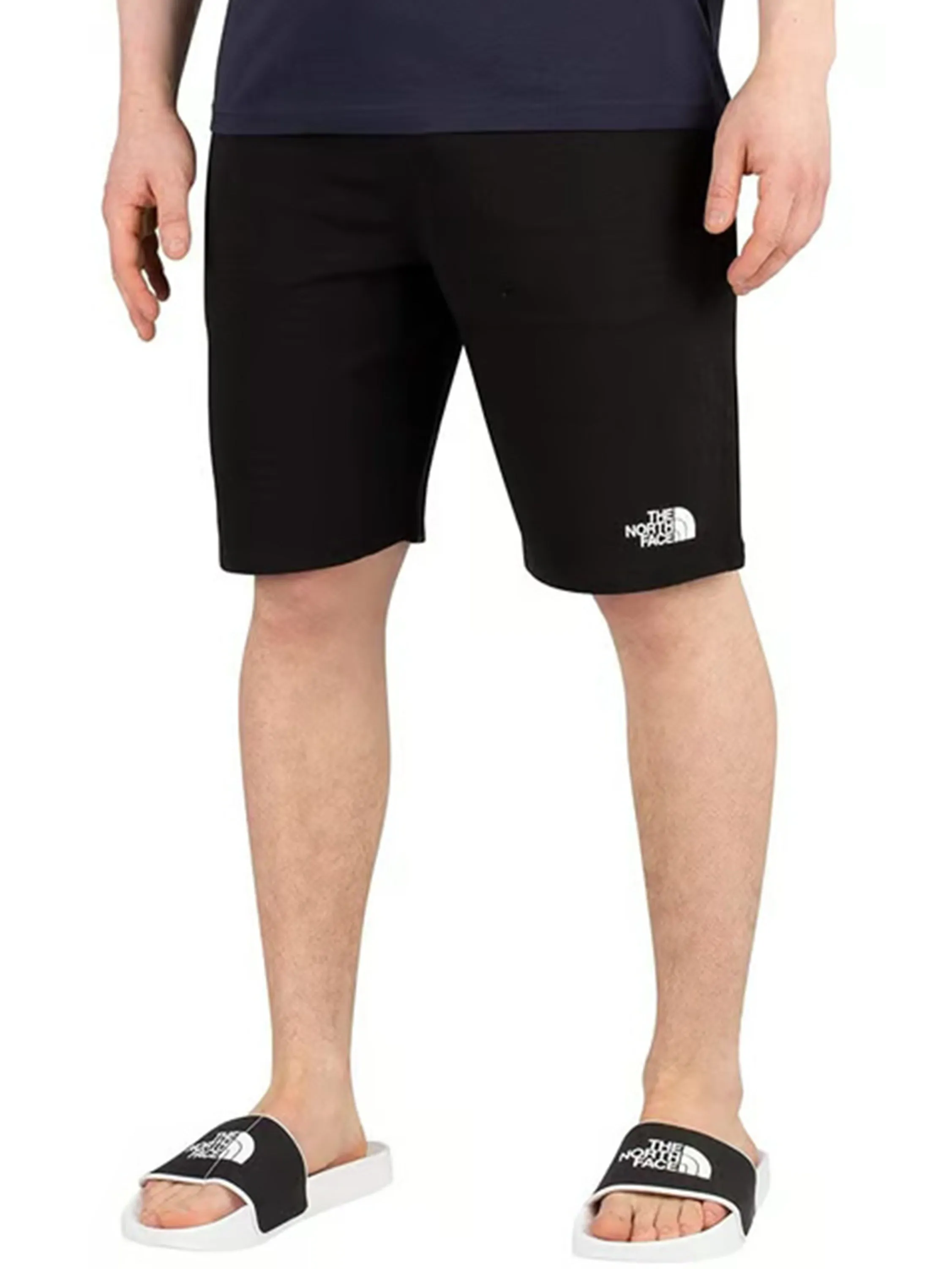 The North Face | Mens Standard Shorts